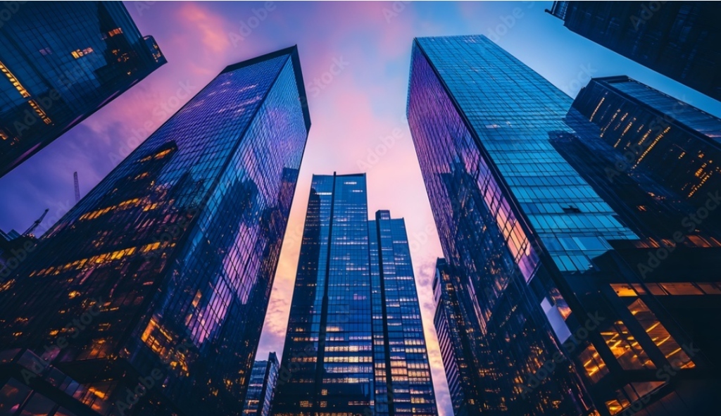 Web Design & Development